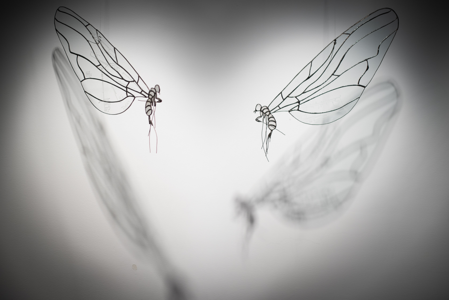 Installation suspendue, vue de deux papillons en vitrail
